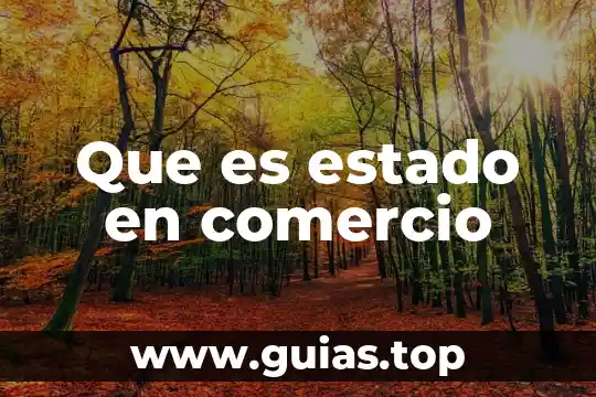 Que es un auto comercio 8 Que es estado en comercio