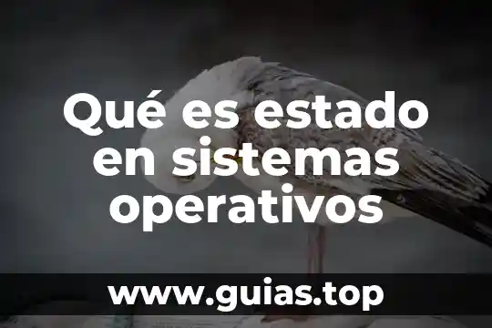 Qué es estado en sistemas operativos