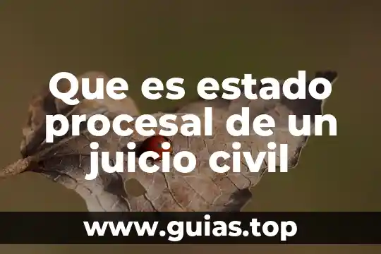 Que es la asignatura de principios basicos del derecho procesal 8 Que es estado procesal de un juicio civil