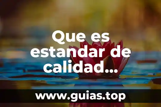 Qué es un estándar de calidad interno definición 7 Que es estandar de calidad ambiental