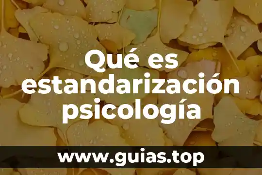 Que es formatear un disco 7 Qué es estandarización psicología