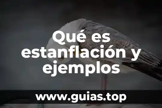 Que es analogia tipos y ejemplos 8 Qué es estanflación y ejemplos