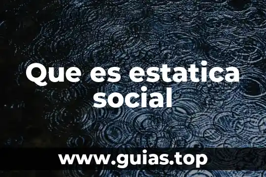 Concepto social que es 8 Que es estatica social
