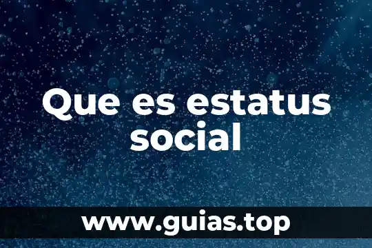 Que es no ser minucioso 8 Que es estatus social