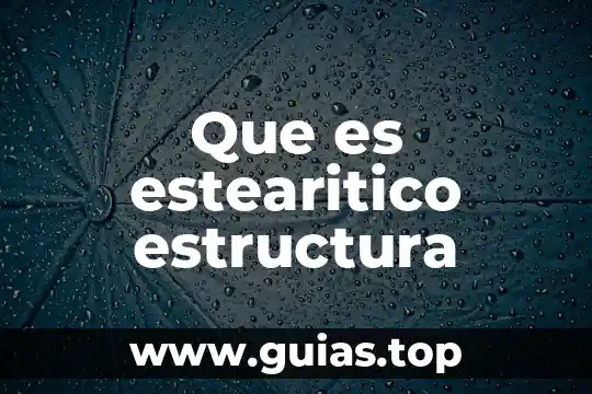 Que es estructura funcional en enfermeria 4 Que es estearitico estructura