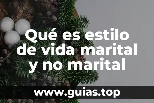 Conclusión de que es la vida 6 Qué es estilo de vida marital y no marital