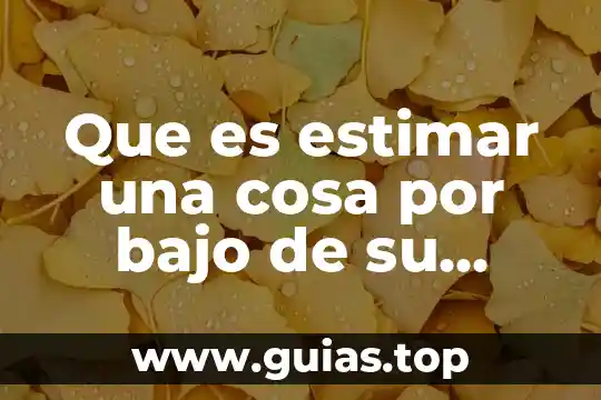 Desde el punto de vista filosófico que es la muerte 3 Que es estimar una cosa por bajo de su valor