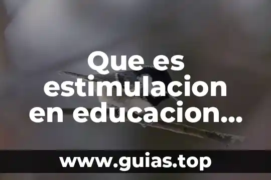 Concepto 155 que es 5 Que es estimulacion en educacion fisica