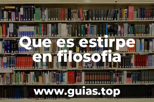 ¿Qué es sinderesis en filosofía? 6 Que es estirpe en filosofia