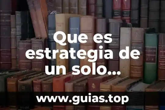 Google que es un juez de control 6 Que es estrategia de un solo segmento