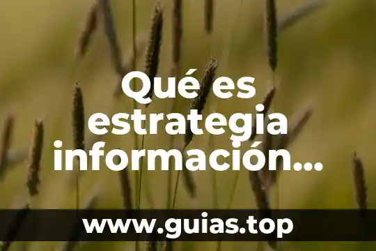 Cuadro sinóptico de que es la información cibernética 6 Qué es estrategia información educación y comunicación