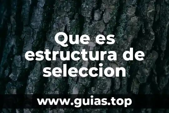 Que es ser abogado por un abogado 5 Que es estructura de seleccion