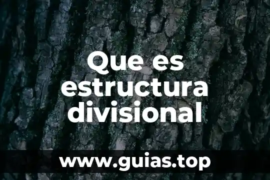Número de Locatel para qué es 7 Que es estructura divisional
