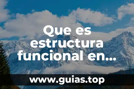 Que es estearitico estructura 4 Que es estructura funcional en enfermeria