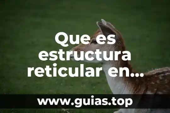 Que es un texto y su estructura 8 Que es estructura reticular en sistema politico