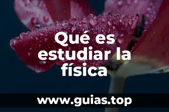 Conclusión por qué es importante estudiar administración de empresas 6 Qué es estudiar la física