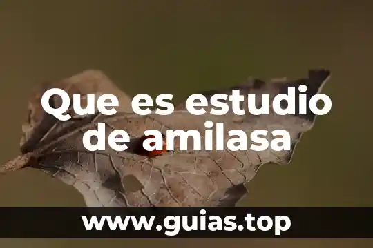 Que es estudio del banco de semillas concepto 6 Que es estudio de amilasa