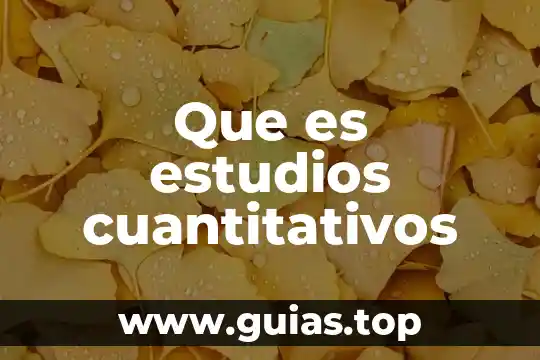 Qué es el análisis de datos cualitativos y cuantitativos 6 Que es estudios cuantitativos