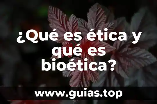 Qué es ética definición etimológica 5 ¿Qué es ética y qué es bioética?