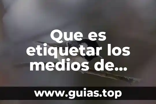 Que es una persona barco 5 Que es etiquetar los medios de almacenamiento