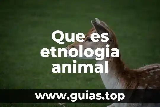 Que es inteligencia animal 6 Que es etnologia animal