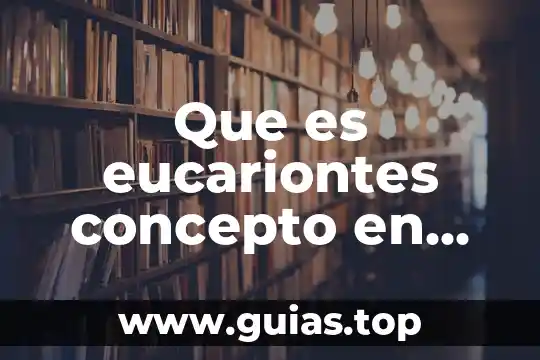 Qué es supinación concepto 5 Que es eucariontes concepto en definicion abc