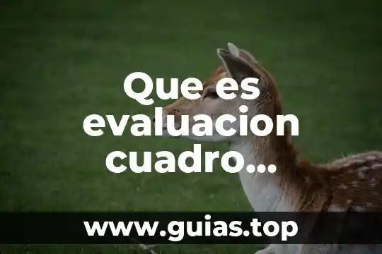 Que es un cuadro sinoptico de tipos de inventarios 7 Que es evaluacion cuadro sinoptico