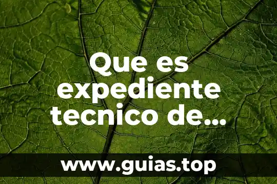 Concepto tecnico de que es lengua 4 Que es expediente tecnico de obra publica