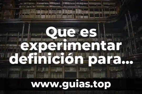 Qué son los carbohidratos y lípidos qué es definición 3 Que es experimentar definición para niños