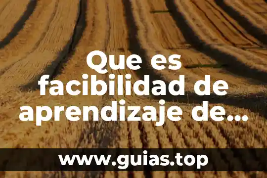 Que es un principio del aprendizaje 7 Que es facibilidad de aprendizaje de un software