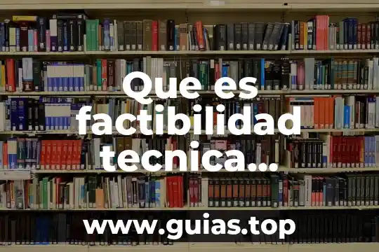 Que es la realidad economica de un pais 3 Que es factibilidad tecnica economica y financiera