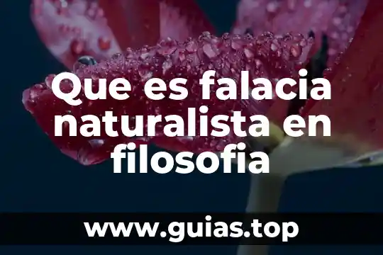 Que es encrucijada en filosofía 3 Que es falacia naturalista en filosofia