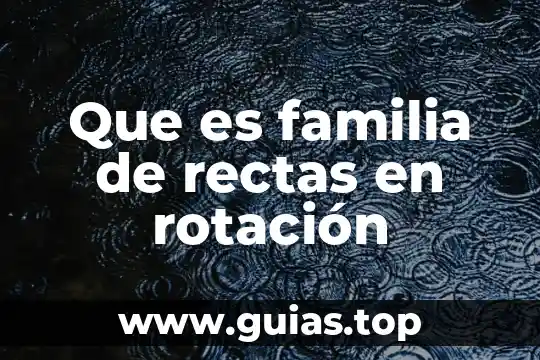 Qué es la familia lógica TTL 6 Que es familia de rectas en rotación