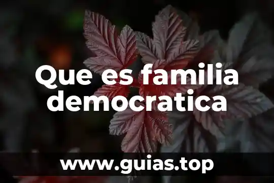 Qué es México como república representativa democrática y federal 5 Que es familia democratica