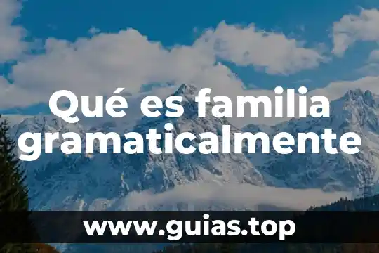 Que es familia de saberes 7 Qué es familia gramaticalmente
