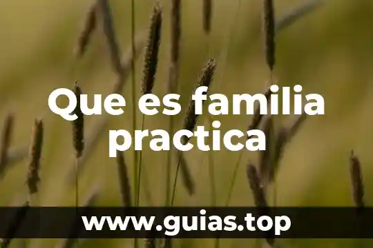 Que es mejor la familia o el dinero 4 Que es familia practica