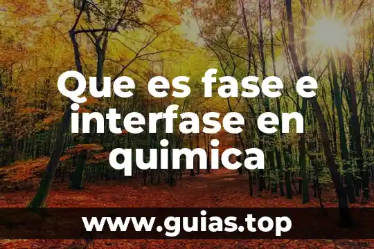 Compuesto quimica que es 5 Que es fase e interfase en quimica