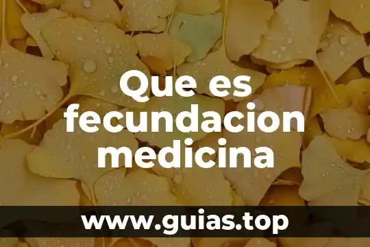 Qué es incubadora en medicina 5 Que es fecundacion medicina