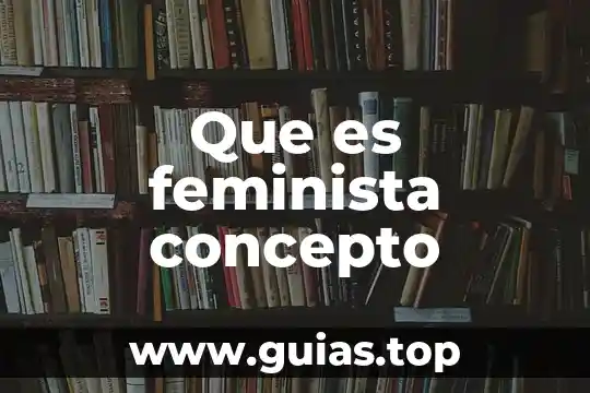 Que es sexapil concepto 8 Que es feminista concepto