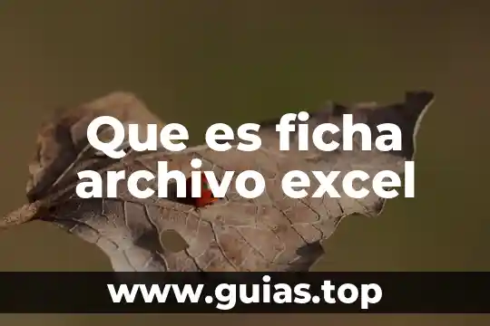 Que es grafico y sus tipos en excel 8 Que es ficha archivo excel