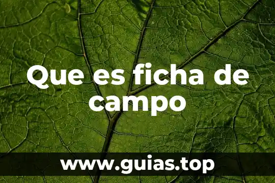 Que es una flor de campo 6 Que es ficha de campo
