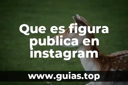 Que es corregir errores logicos 3 Que es figura publica en instagram