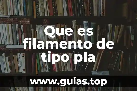 Que es ser primodelincuente 4 Que es filamento de tipo pla