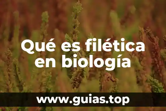 Qué es glandular en biología 4 Qué es filética en biología