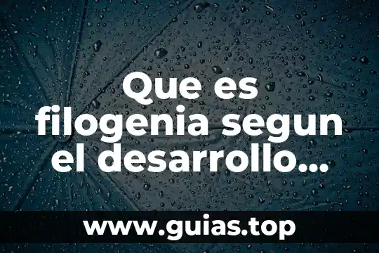 Que es el programa de desarrollo de habilidades del pensamiento 6 Que es filogenia segun el desarrollo humano