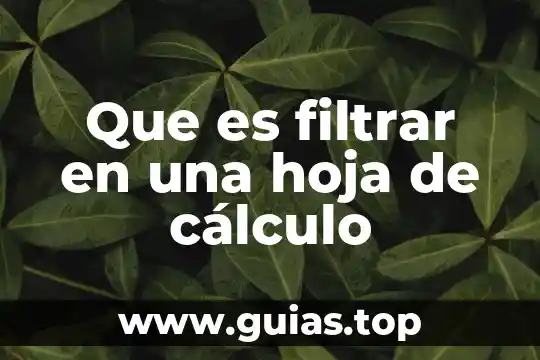 Qué es un animal verde con forma de hoja 6 Que es filtrar en una hoja de cálculo