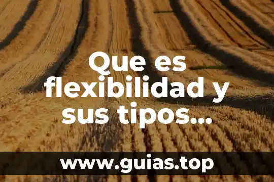 Investigar que es un adverbio y sus tipos 5 Que es flexibilidad y sus tipos ejemplos