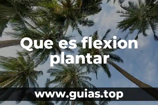 Que es queratosis plantar 6 Que es flexion plantar