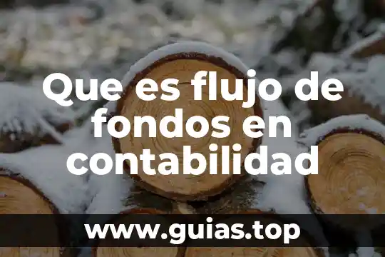 Que es una empresa administradora de fondos 5 Que es flujo de fondos en contabilidad