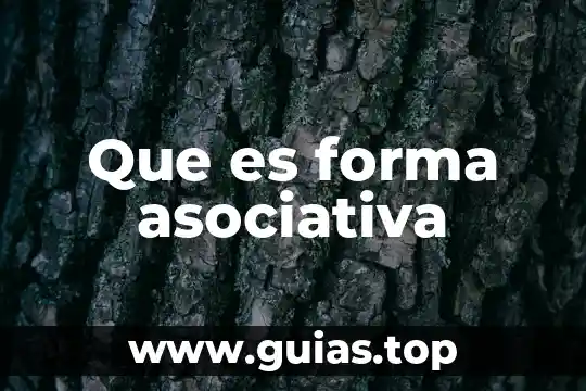 Que es el tipos debate 4 Que es forma asociativa